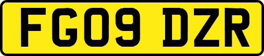 FG09DZR