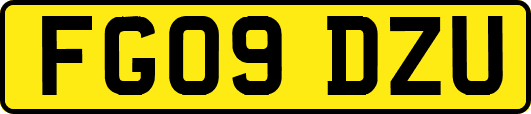 FG09DZU