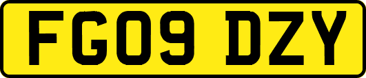 FG09DZY