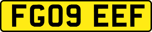 FG09EEF