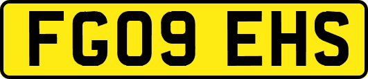 FG09EHS