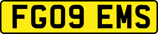 FG09EMS