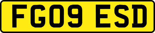 FG09ESD