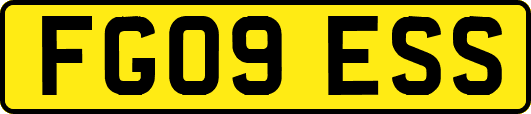 FG09ESS