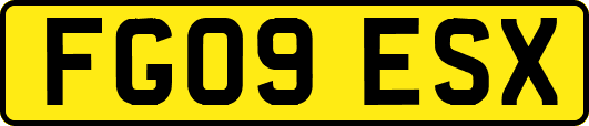 FG09ESX