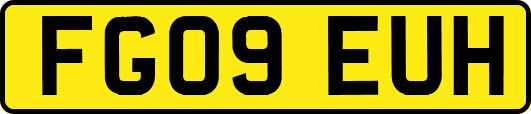 FG09EUH