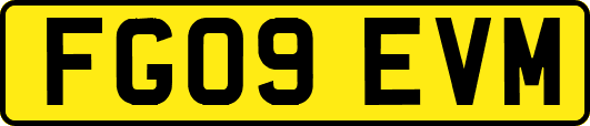 FG09EVM