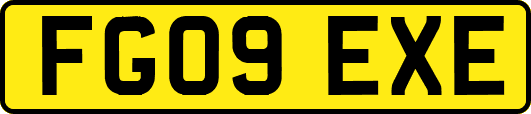 FG09EXE