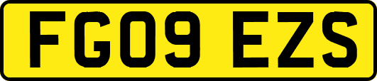 FG09EZS