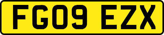 FG09EZX