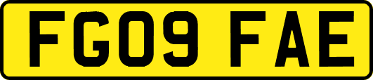 FG09FAE