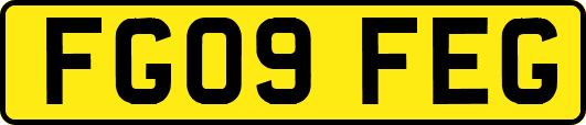 FG09FEG