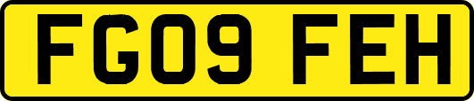FG09FEH
