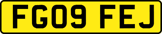FG09FEJ