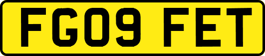 FG09FET