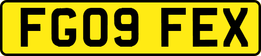 FG09FEX