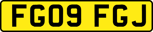 FG09FGJ