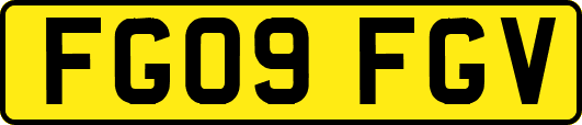 FG09FGV