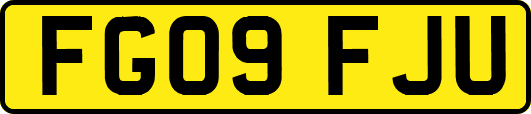 FG09FJU