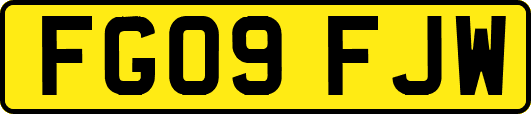 FG09FJW