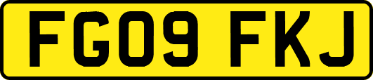 FG09FKJ