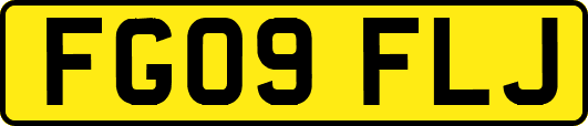 FG09FLJ