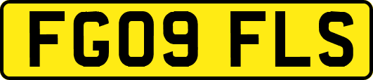 FG09FLS
