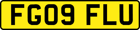 FG09FLU