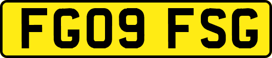 FG09FSG