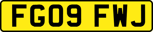 FG09FWJ