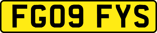 FG09FYS