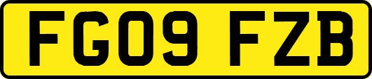 FG09FZB