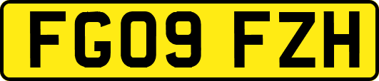 FG09FZH