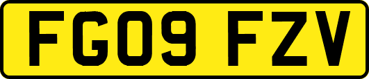 FG09FZV