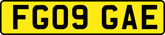 FG09GAE