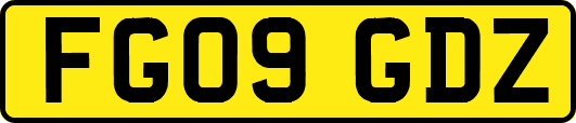 FG09GDZ