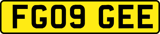 FG09GEE