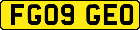 FG09GEO