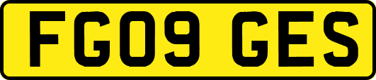 FG09GES