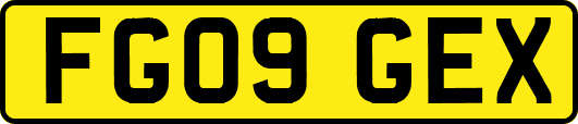 FG09GEX