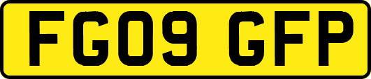 FG09GFP
