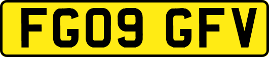 FG09GFV