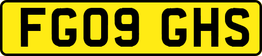 FG09GHS