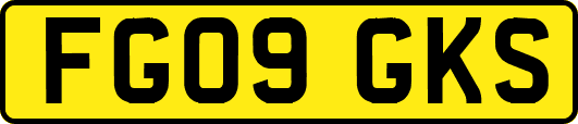 FG09GKS