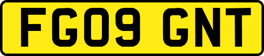 FG09GNT