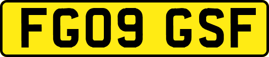 FG09GSF
