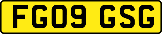 FG09GSG