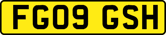 FG09GSH