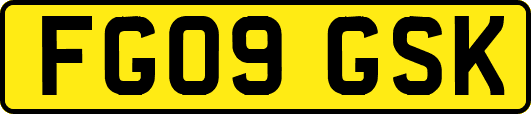 FG09GSK