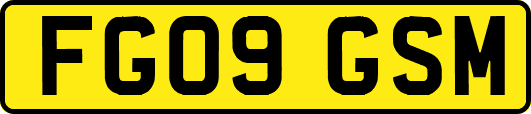FG09GSM